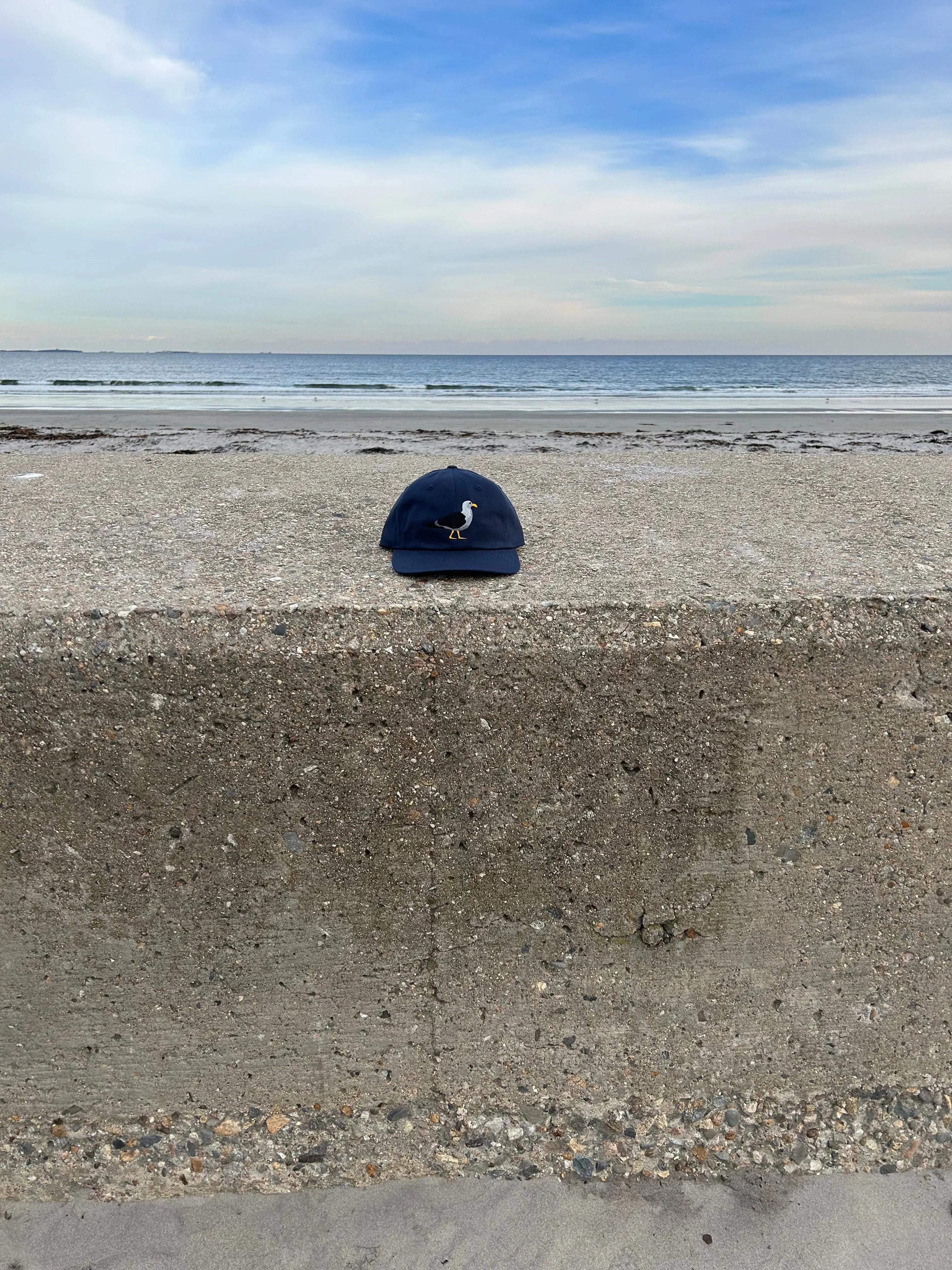 SS Seagull Hat