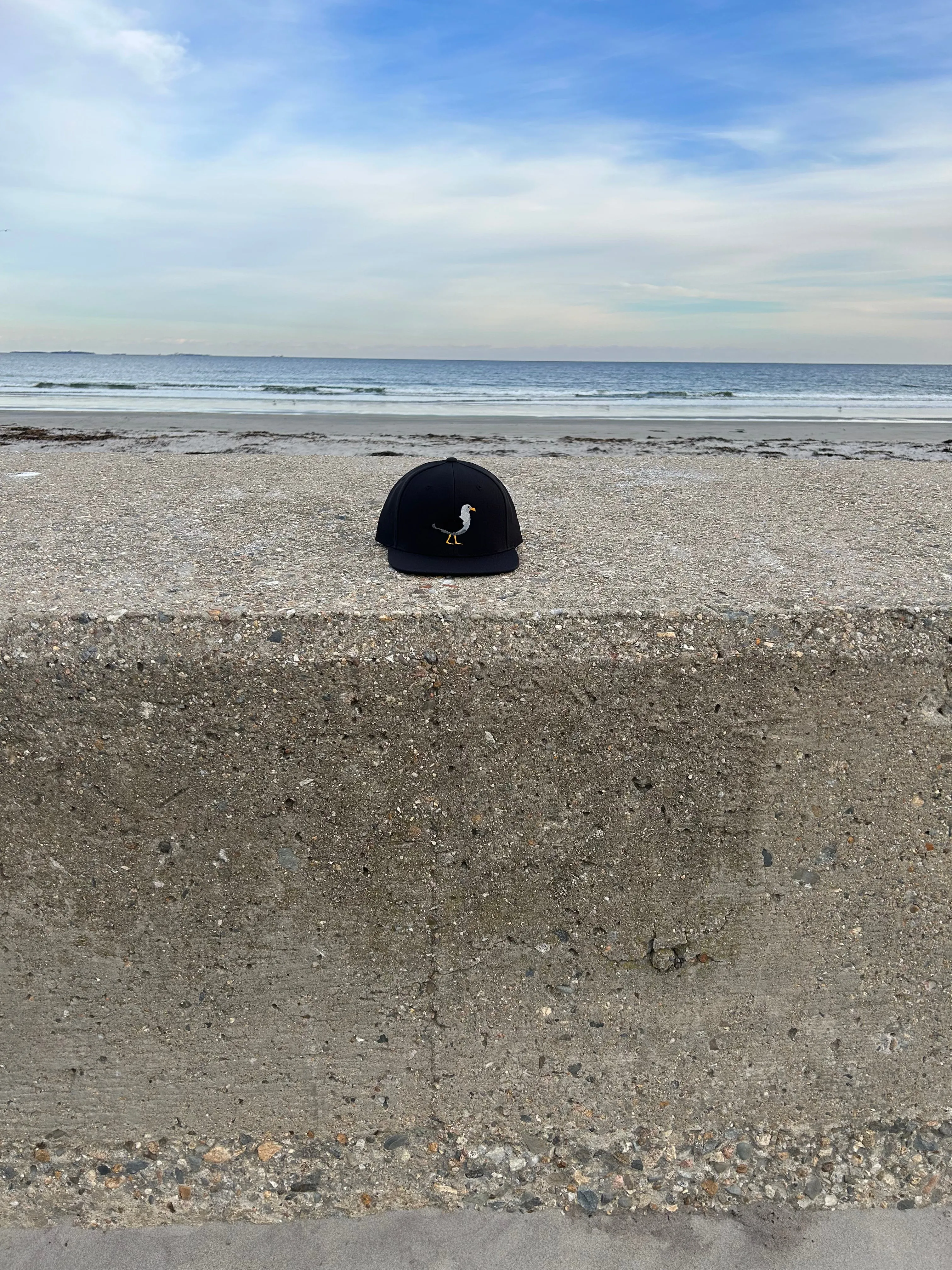 SS Seagull Hat